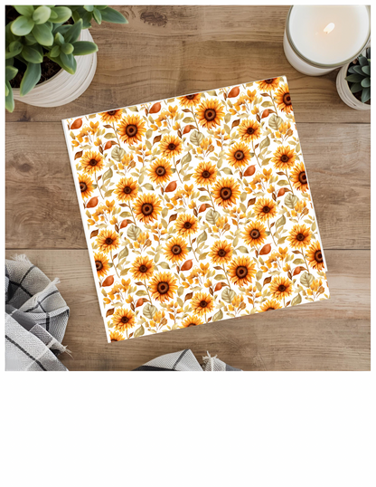 Sunflower Fields